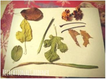 Mommy Daughter Weekend Project | Leaf Art